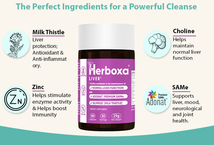 Herboxa Liver ingredient list for a powerful cleanse. Milk thistle, Zinc, Choline, SAMe