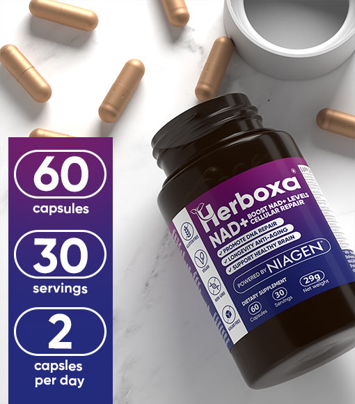 Herboxa NAD+. 60 capsules. 30 servings. 2 capsules per day