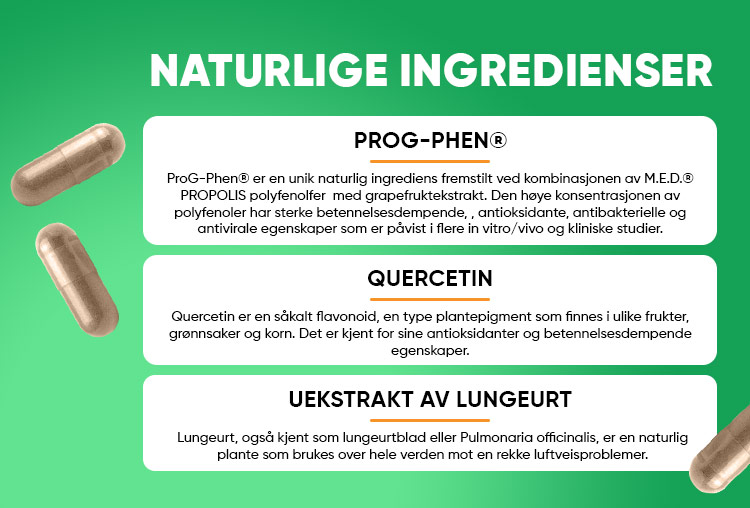 Herboxa Lungwort | Urtekosttilskudd | OUT OF STOCK