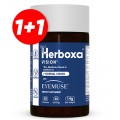 HERBOXA® VISION | 